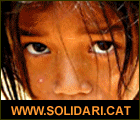www.solidari.cat